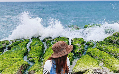 Khám phá mê cung xanh LaoMei Green Reef ở Tamsui với những dải rêu xanh mướt