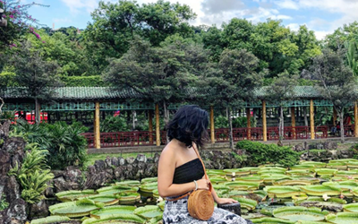 Bay ngay đến công viên Shuangxi để trải nghiệm ngồi trên lá sen “siêu to khổng lồ” giữa mặt hồ
