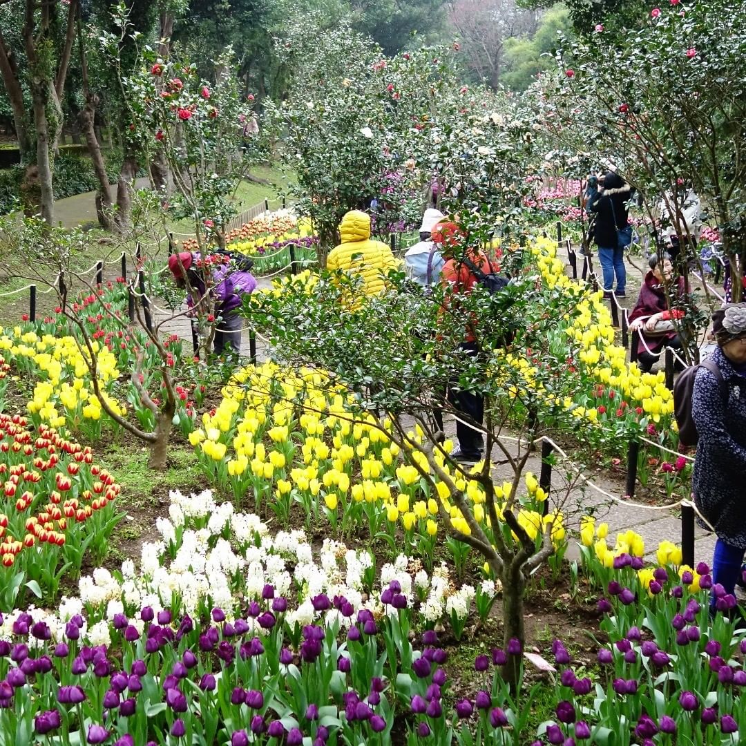 Vườn hoa Dương Minh Sơn