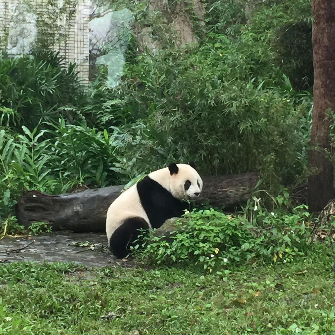 Vườn thú Taipei